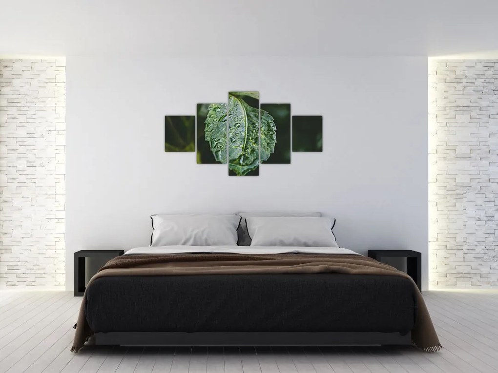 Obraz - krople na liściu (125x70 cm)