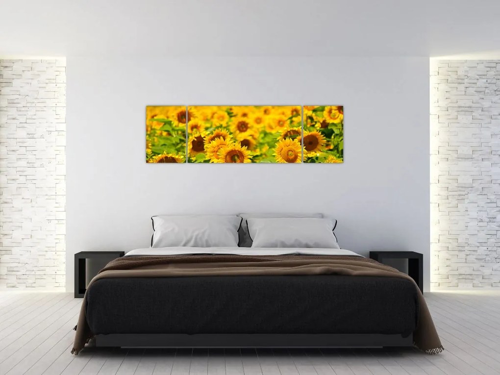 Obraz - Słoneczniki (170x50 cm)