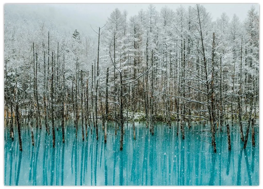 Obraz na szkle - Turkusowy staw, Biei, Japonia (70x50 cm)