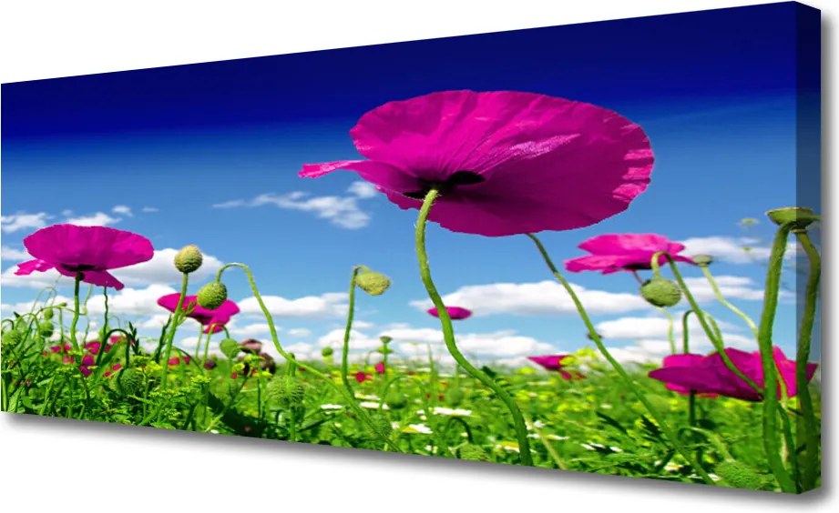 Obraz canvas Horyzont nad Kwitnącą Łąką