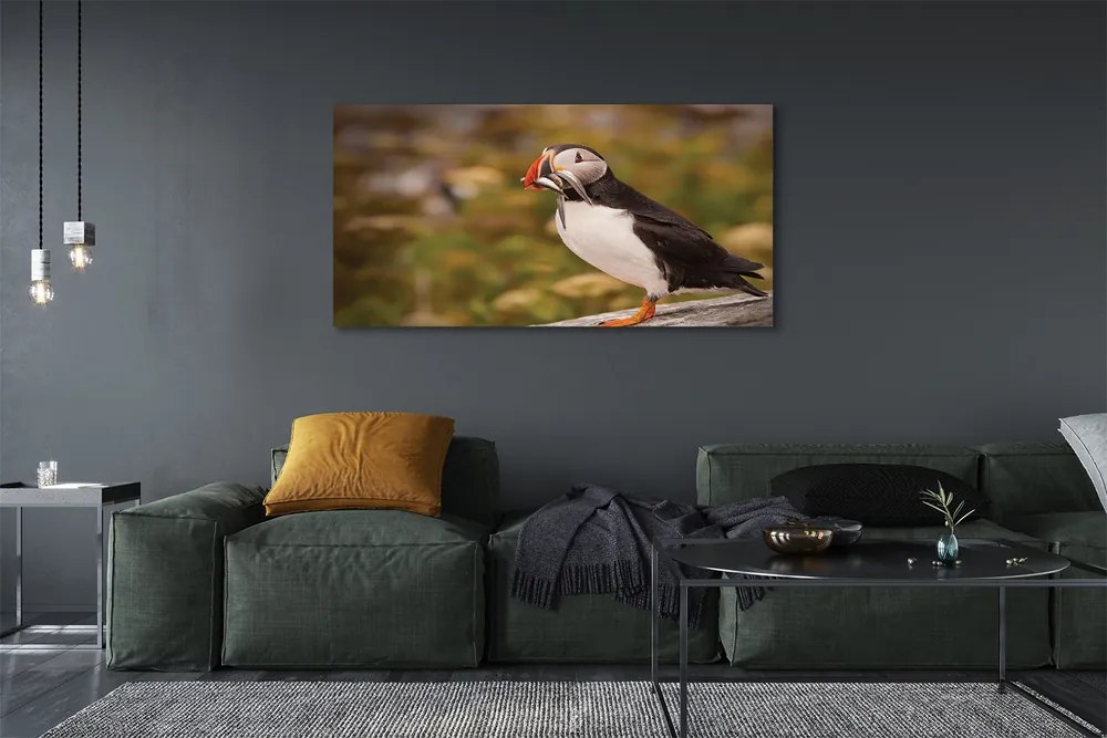 Zdjęcie na płótnie Portret Papugi