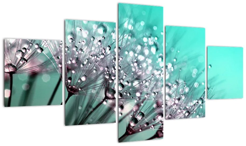 Obraz - zroszona roślina (125x70 cm)