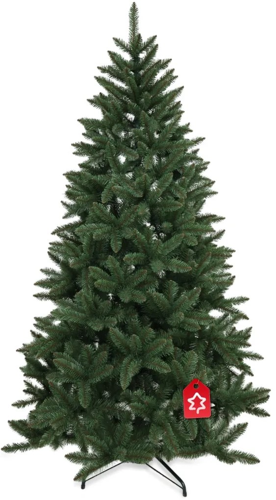Świerk kanadyjski 210 cm