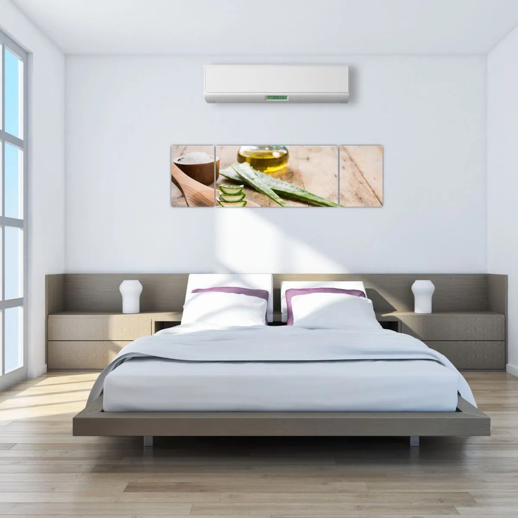 Obraz - Aloes (170x50 cm)