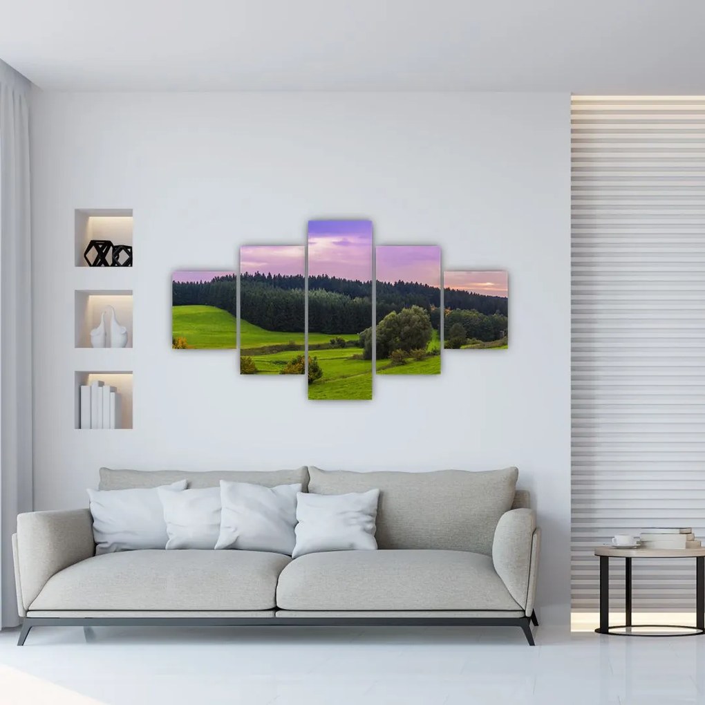 Obraz łąki (125x70 cm)