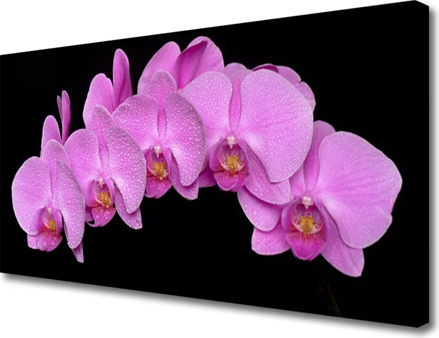 Zdjęcie na płótnie Rozkwitająca Łąka Ścienna