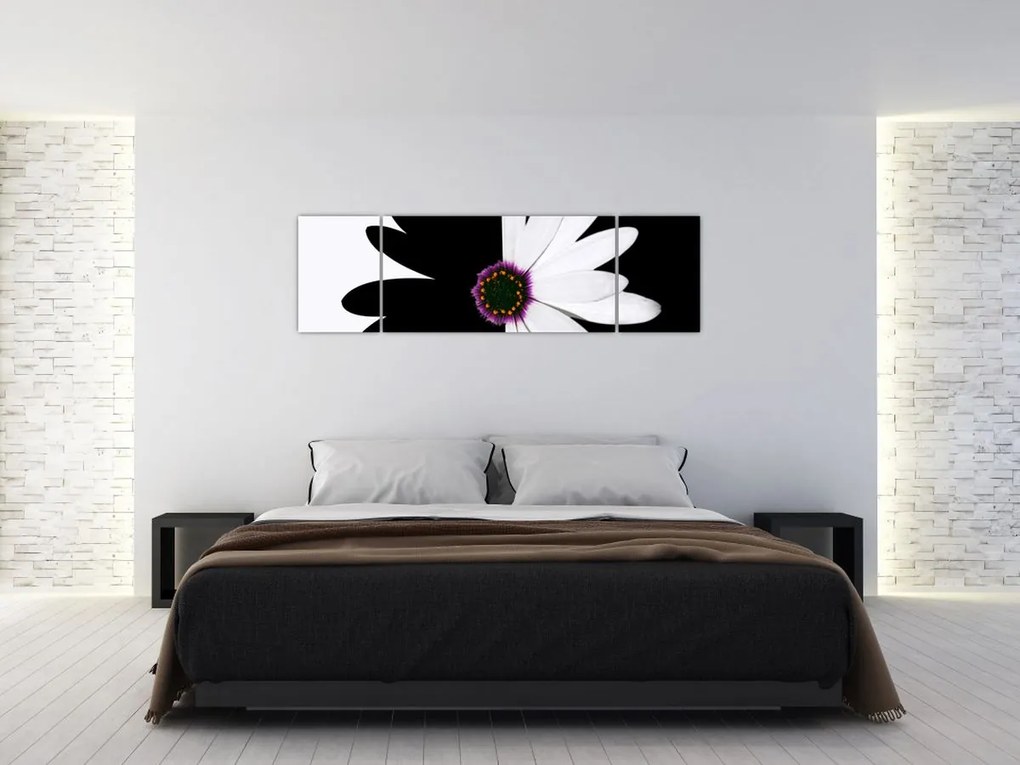 Obraz czarno - białego kwiatu (170x50 cm)