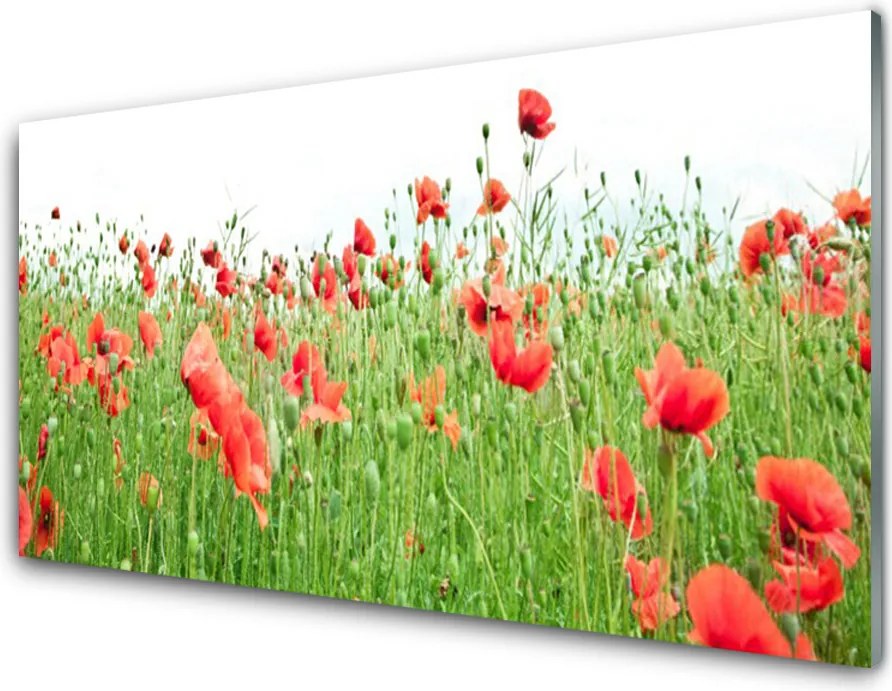 Panel nad blat kuchenny Krwistoczerwone Maki