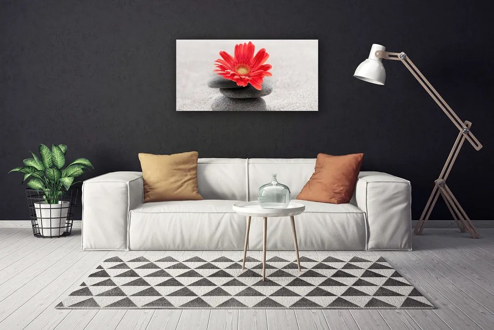 Obraz canvas Radosna Gerbera w Detalu
