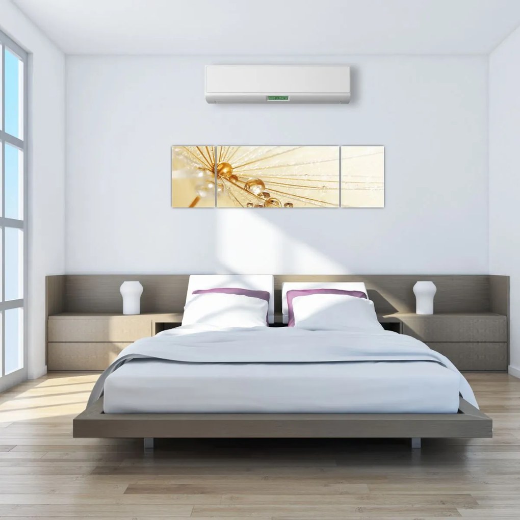 Obraz - Zdjęcie makro mniszka lekarskiego (170x50 cm)