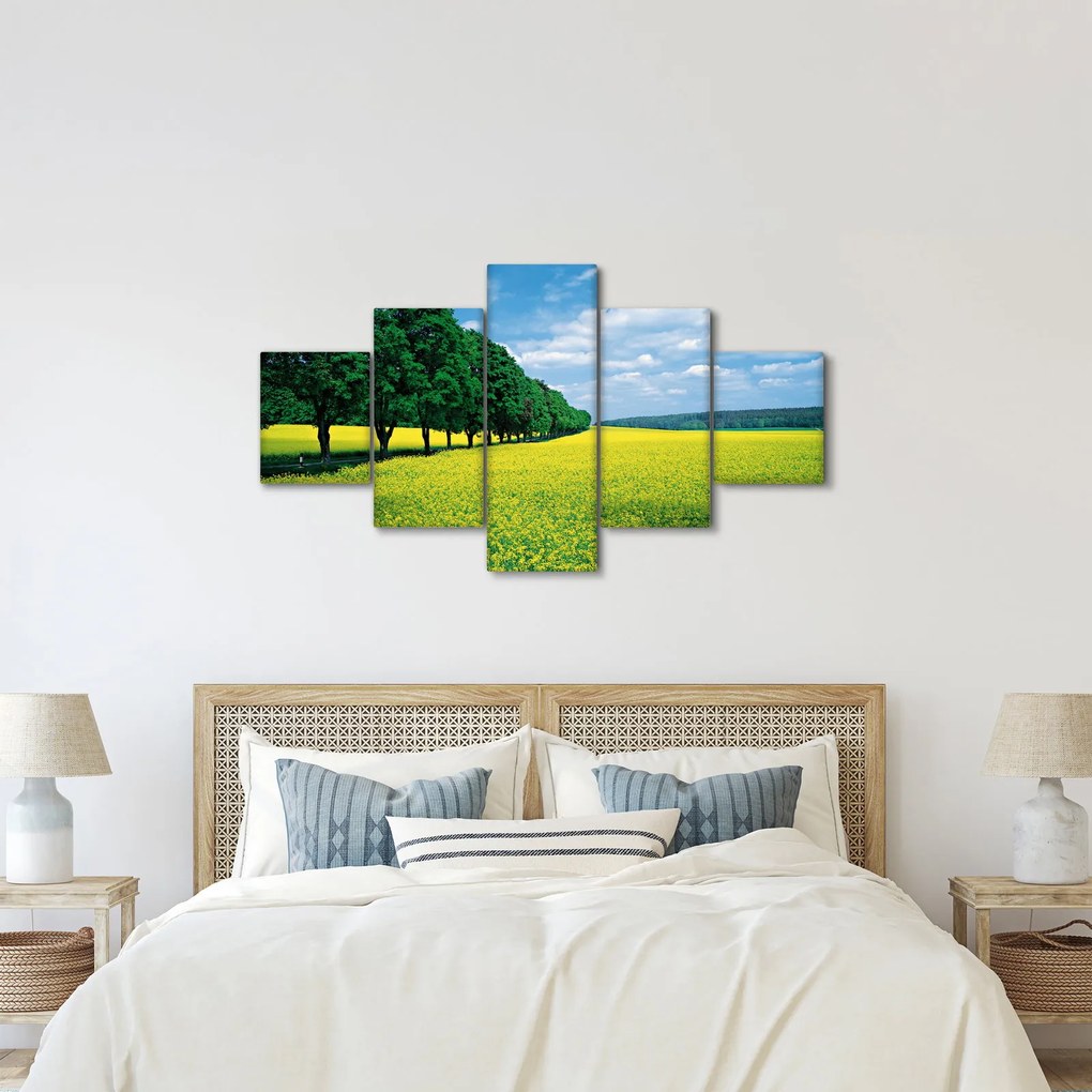 Obraz pola z aleją (125x70 cm)