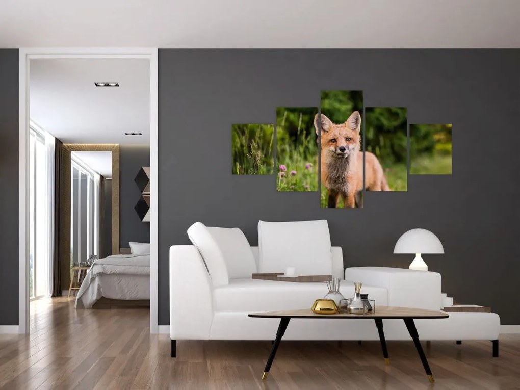 Obraz lisa (125x70 cm)