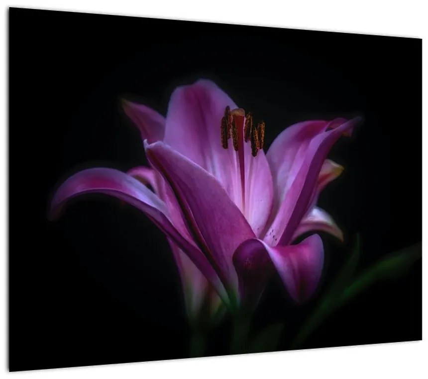 Obraz na szkle lilii (70x50 cm)