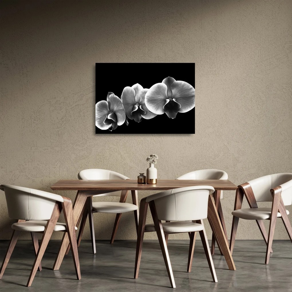 Obraz na szkle kwiatu orchidei (70x50 cm)