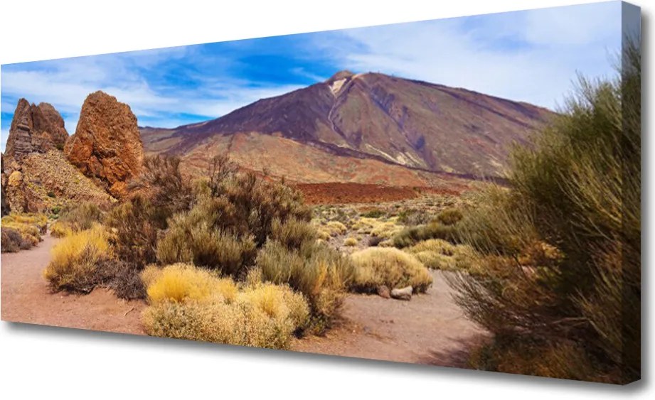 Duży obraz na płótnie Surowy Pejzaż Górski