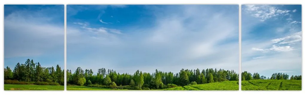 Obraz łąki (170x50 cm)