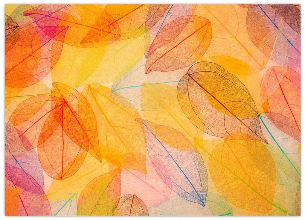 Obraz na szkle - Tło z jesiennych liści (70x50 cm)