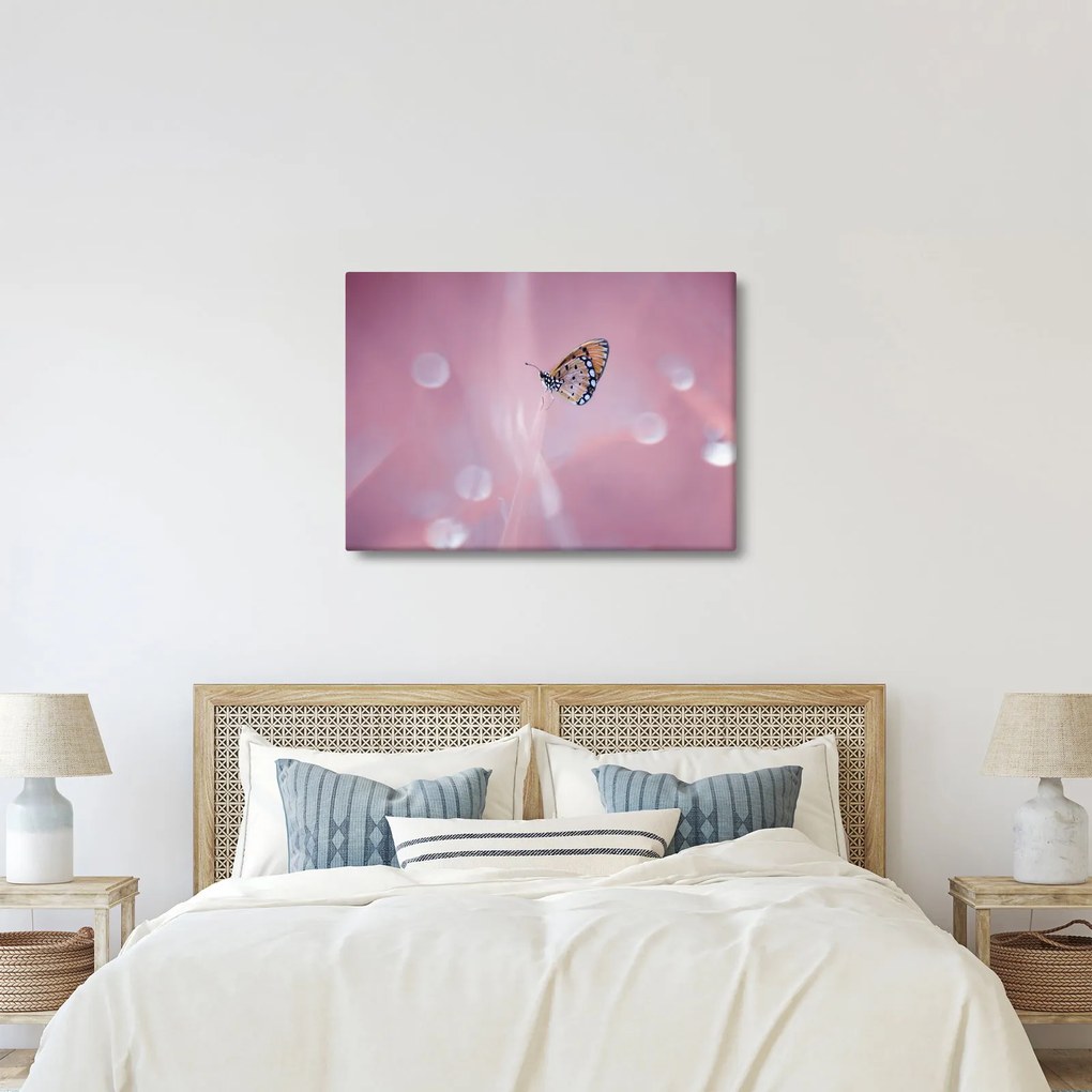 Obraz - Motyl (70x50 cm)
