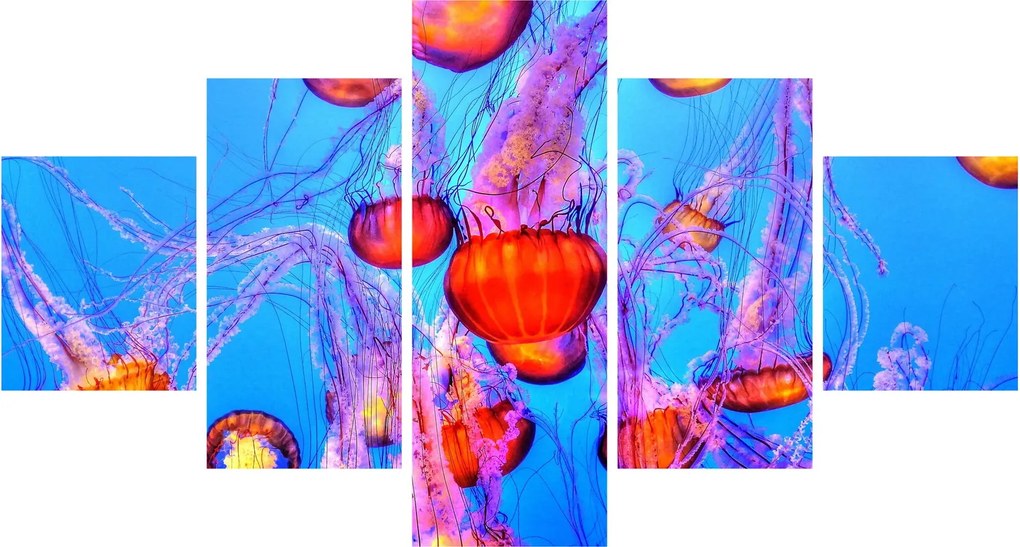 Obraz meduz w morzu (125x70 cm)