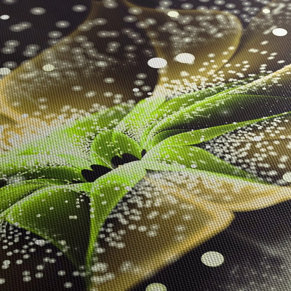 Obraz - Szczegół kwiatu (70x50 cm)