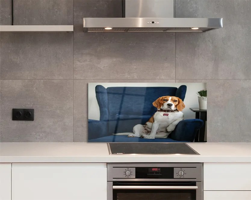 Panel Kuchenny Szklany Spokojny Siedzący Pupil