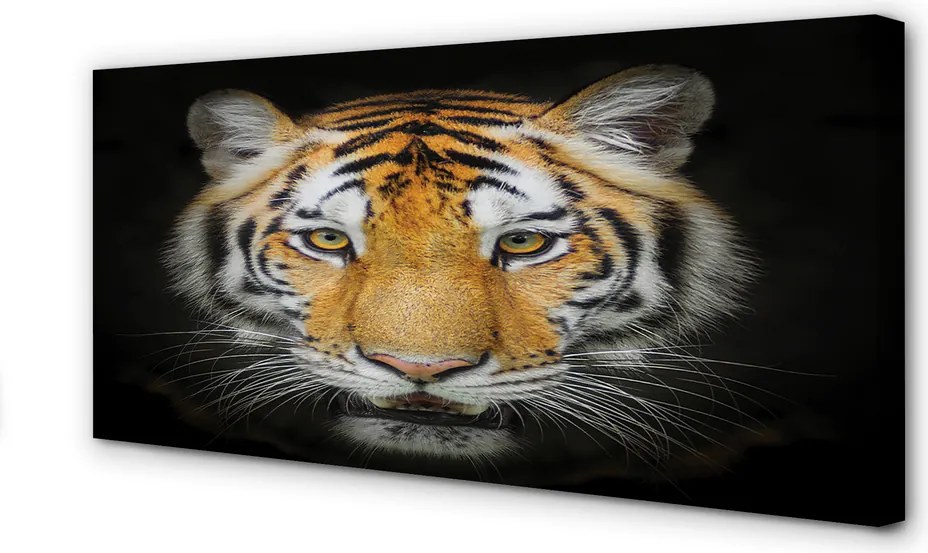 Zdjęcie na płótnie Portret Tygrysa