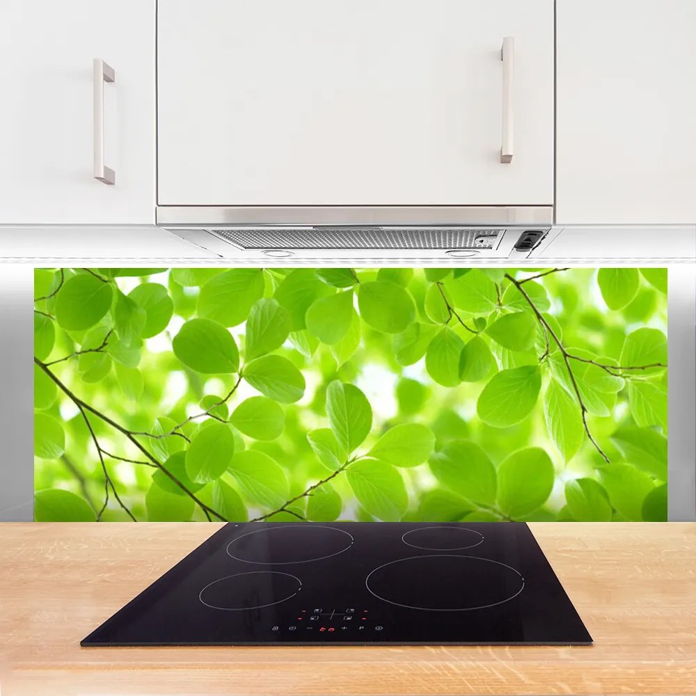 Panel Kuchenny Organiczne Formy Liści