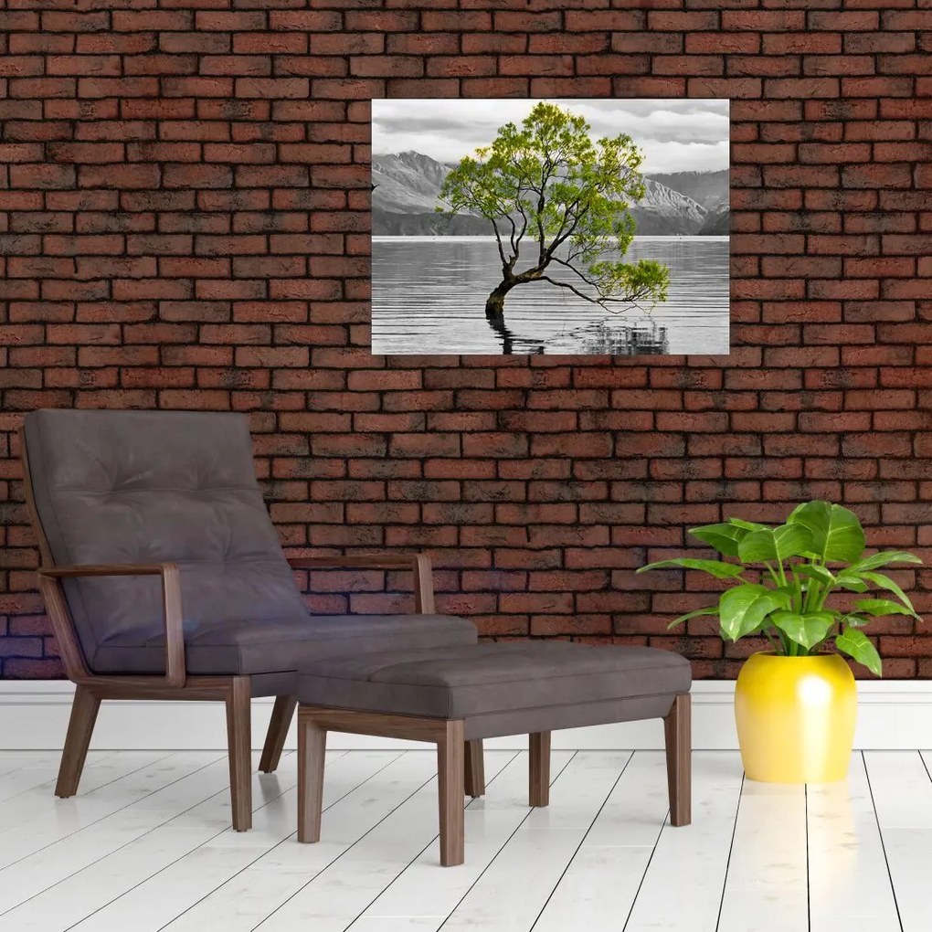 Obraz na szkle drzewa na środku jeziora (70x50 cm)