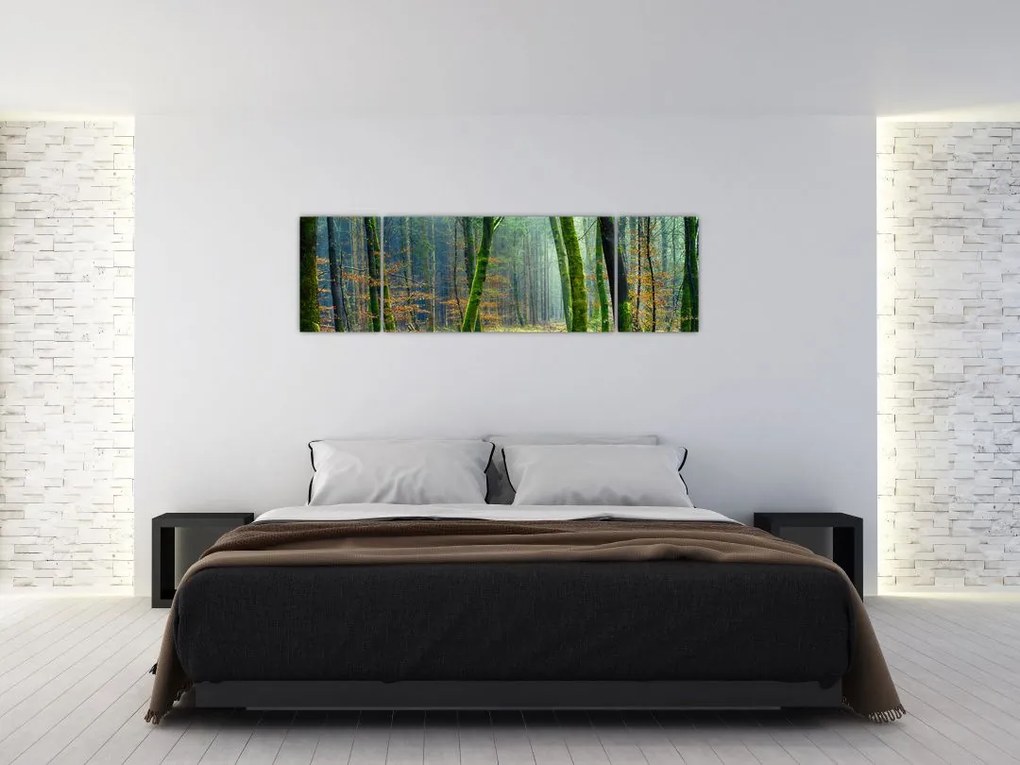 Obraz lasu (170x50 cm)