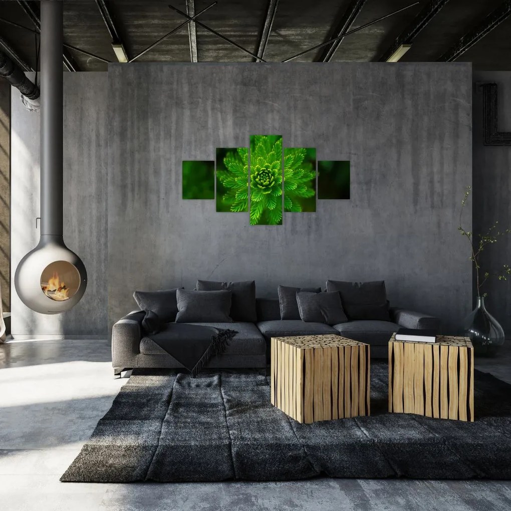 Obraz drzewa iglastego (125x70 cm)