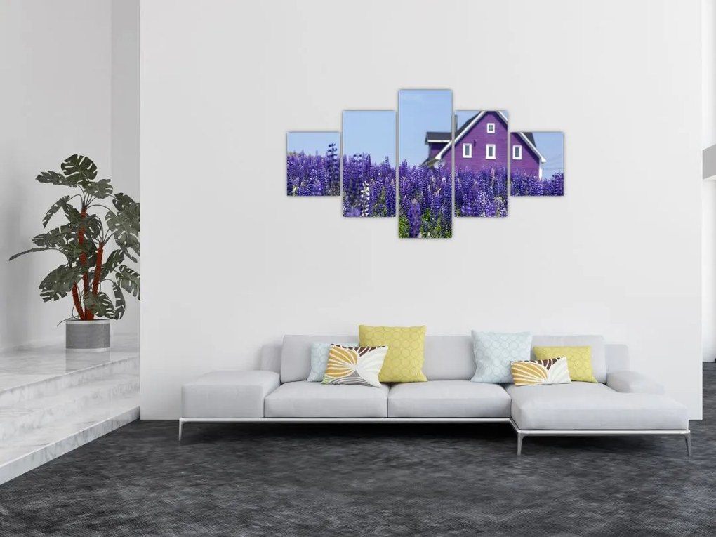 Obraz lawendowego pola (125x70 cm)
