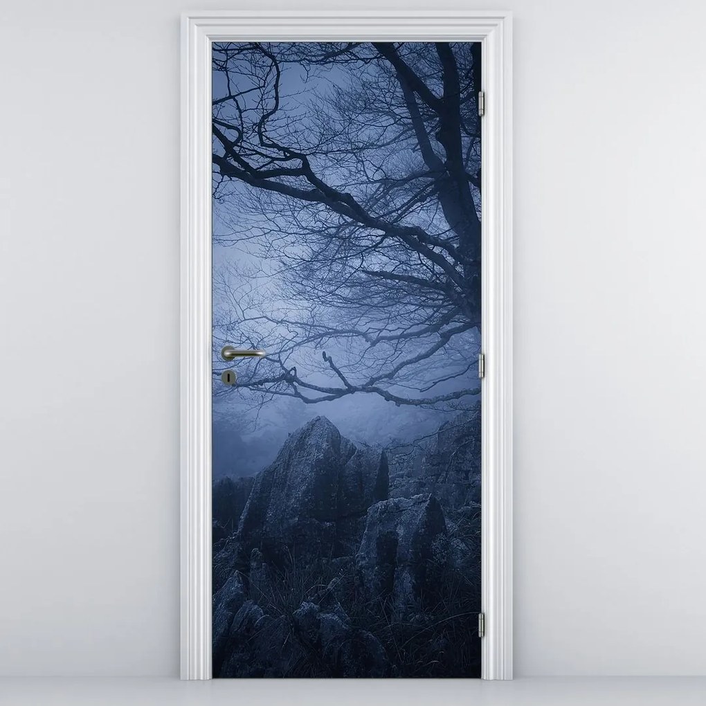 Fototapeta na drzwi - Ciemny las (95x205cm)