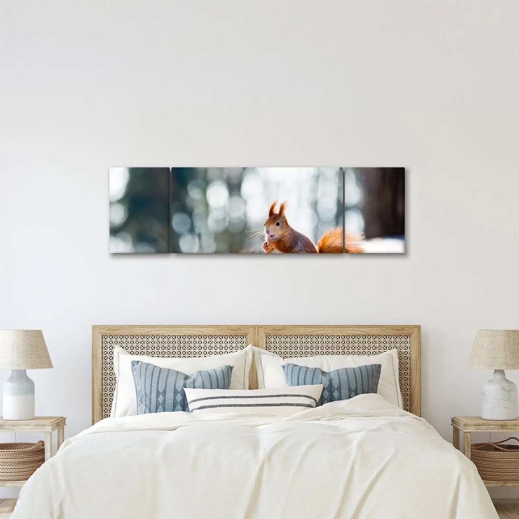 Obraz - Wiewiórka (170x50 cm)