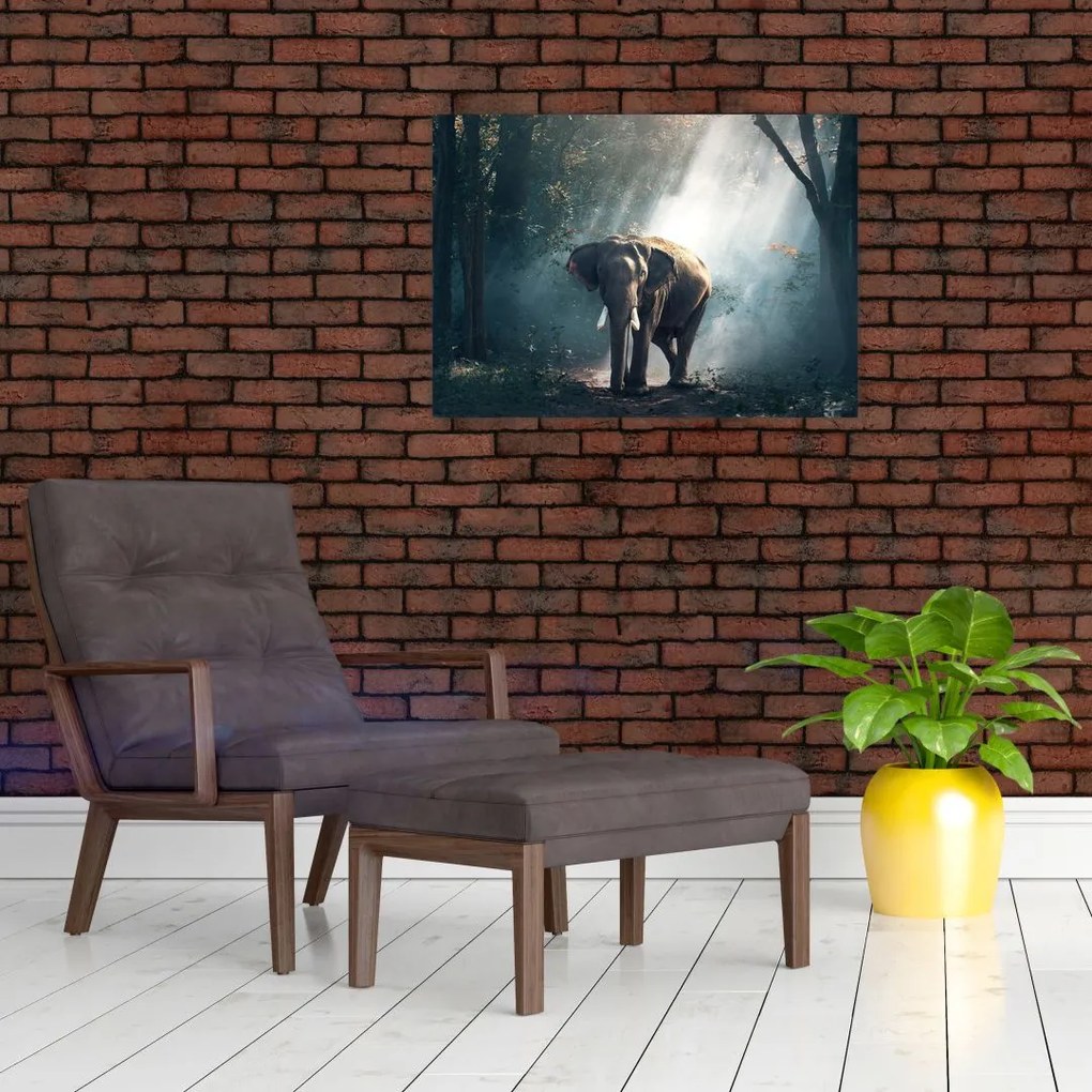 Obraz na szkle - makaroniki (70x50 cm)