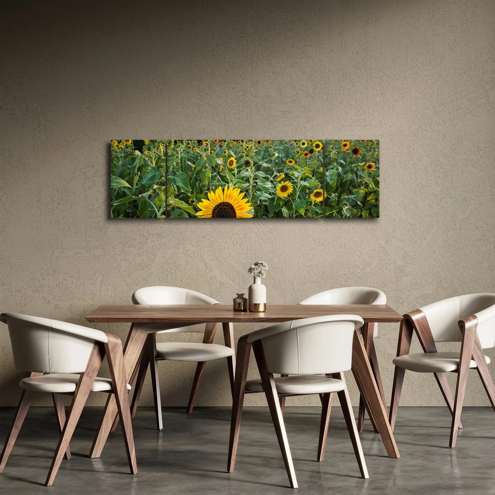 Obraz - Sunflower Field II. (170x50 cm)