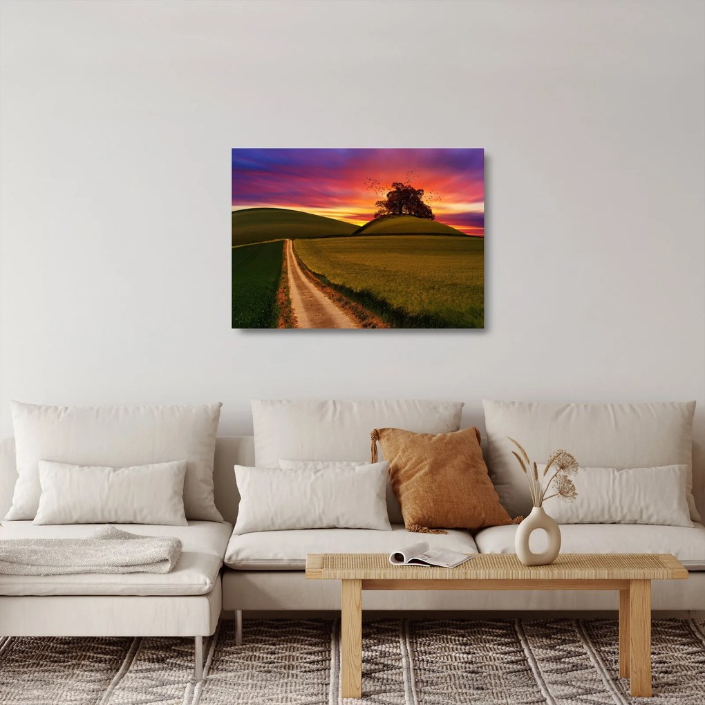 Obraz na szkle - pole z zachodem słońca (70x50 cm)