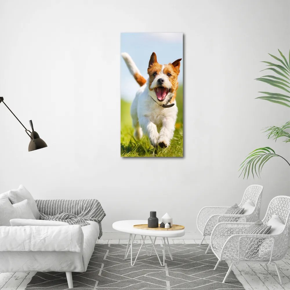 Foto obraz na płótnie pionowy Pies Jack Russell