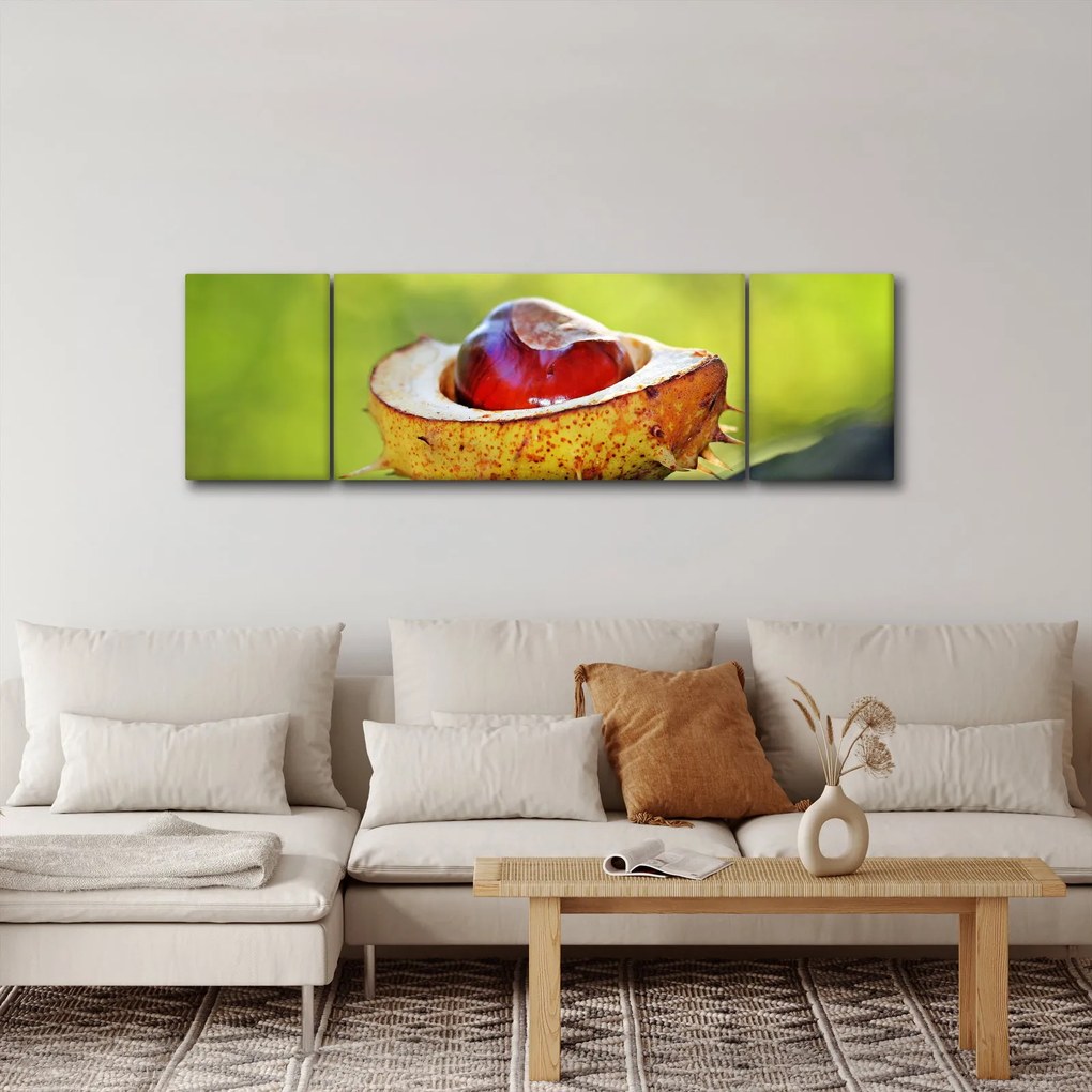 Obraz kasztanowów (170x50 cm)