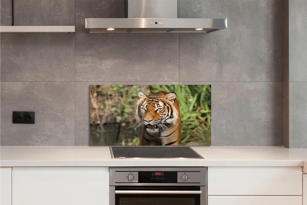 Panel szklany do Kuchni Tygrys na Leśnej Ścieżce