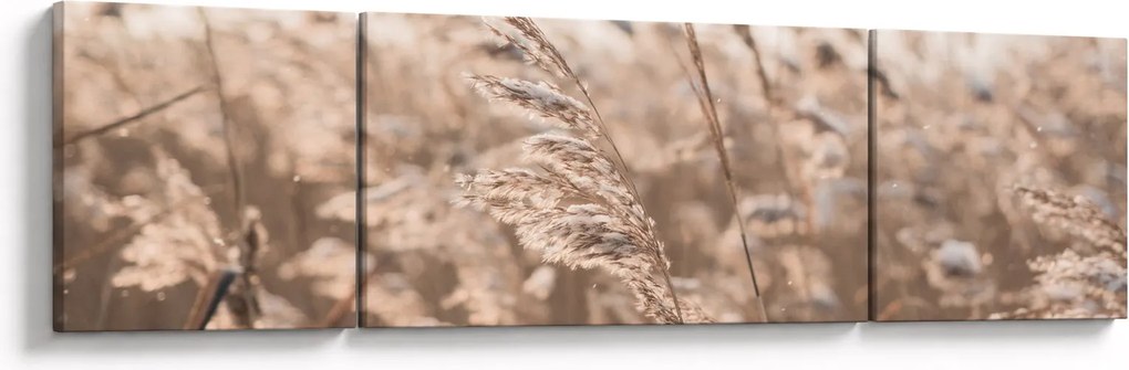 Obraz - Łąkowy wianek (170x50 cm)