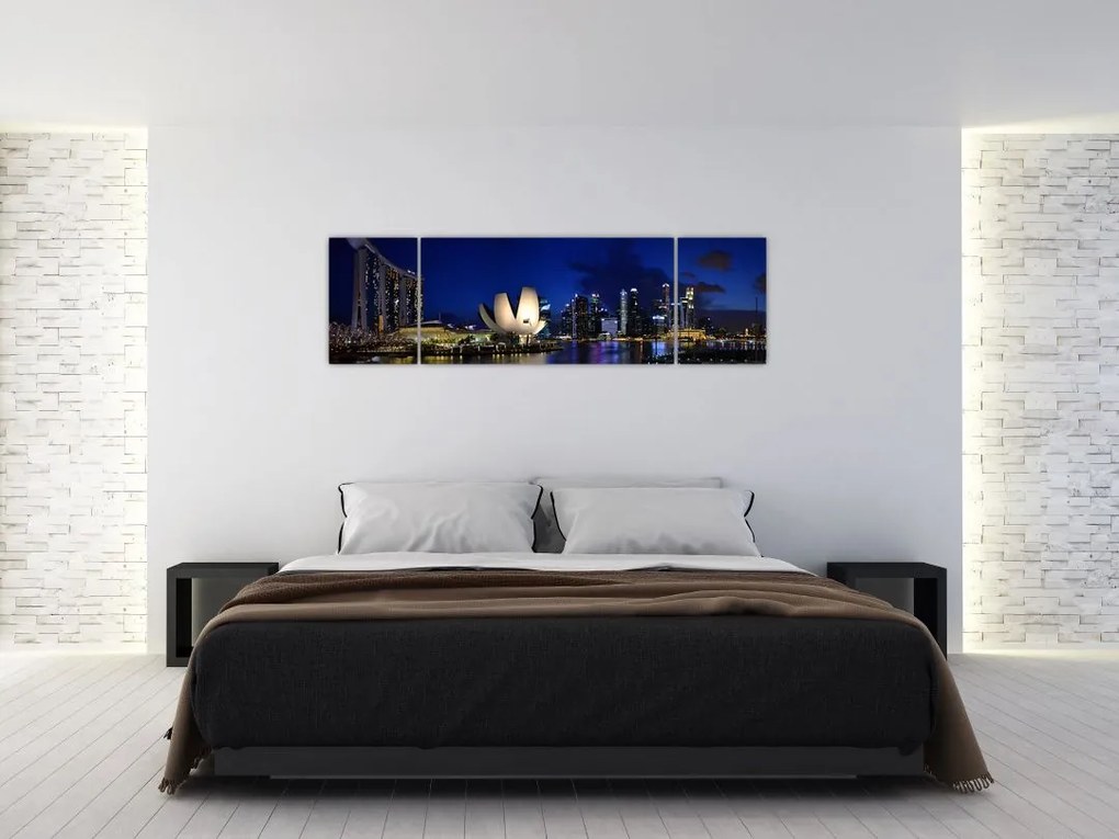Obraz Singapuru nocą (170x50 cm)