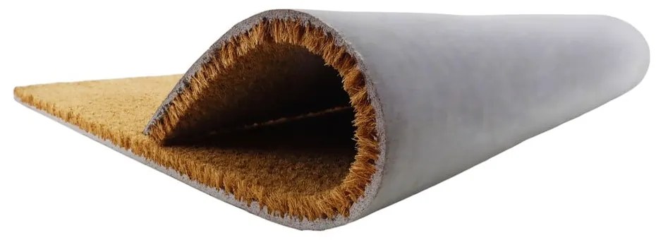 Wycieraczka z włókna kokosowego 40x60 cm Mushrooms – Artsy Doormats