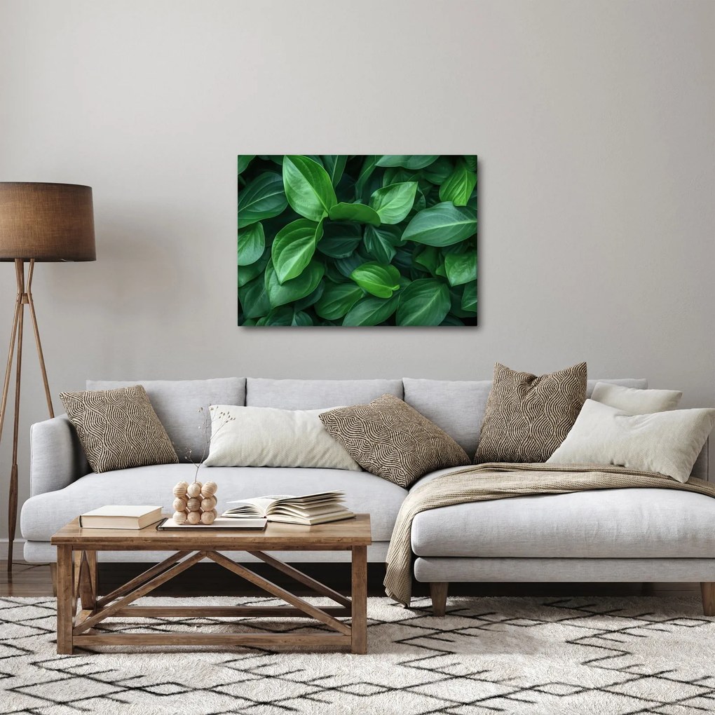 Obraz - Zielone liście (70x50 cm)