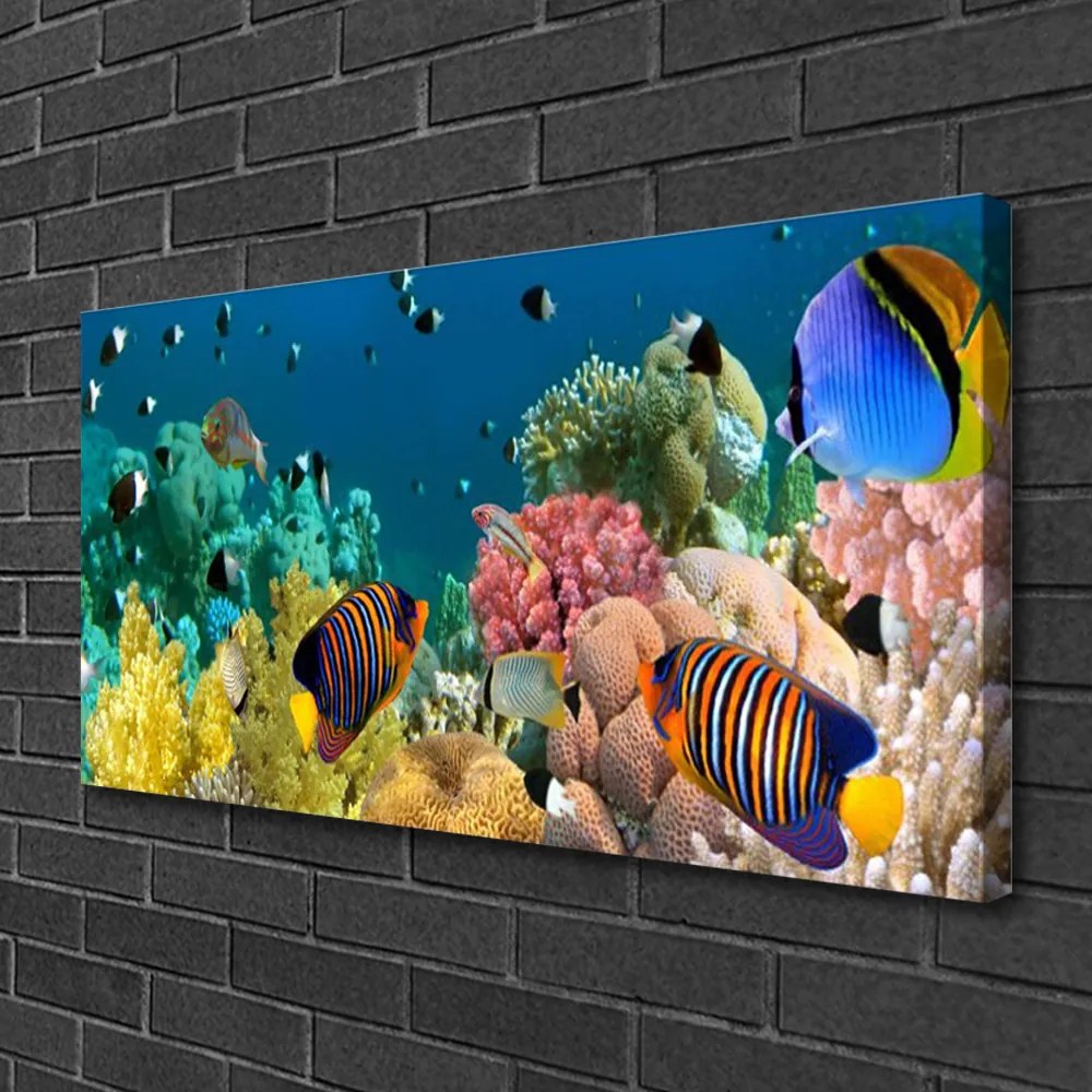 Obraz na płótnie Podwodny Świat Rafy