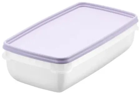 SmartStore Zestaw plastikowych pojemników Freezer2 szt., lewan dule, 1200 ml, 1200 ml