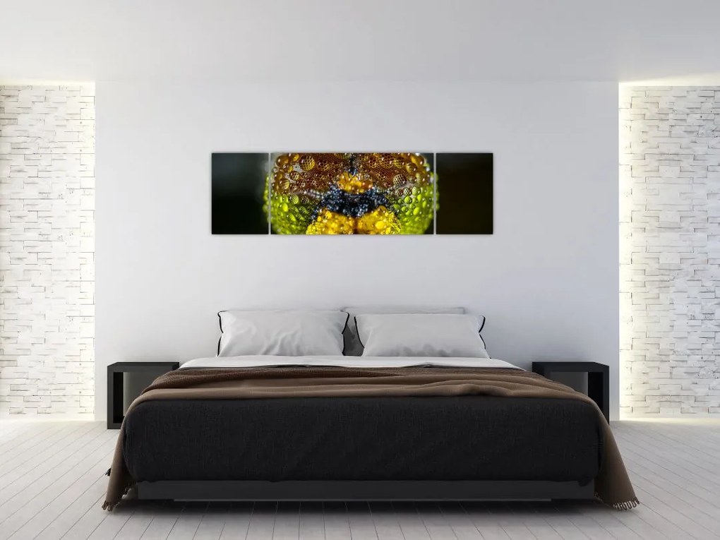 Szczegółowy obraz oczu owadów (170x50 cm)
