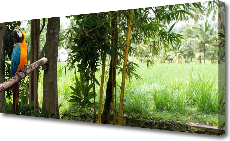 Fotoobraz na płótnie Egzotyczna Papuga w Dżungli