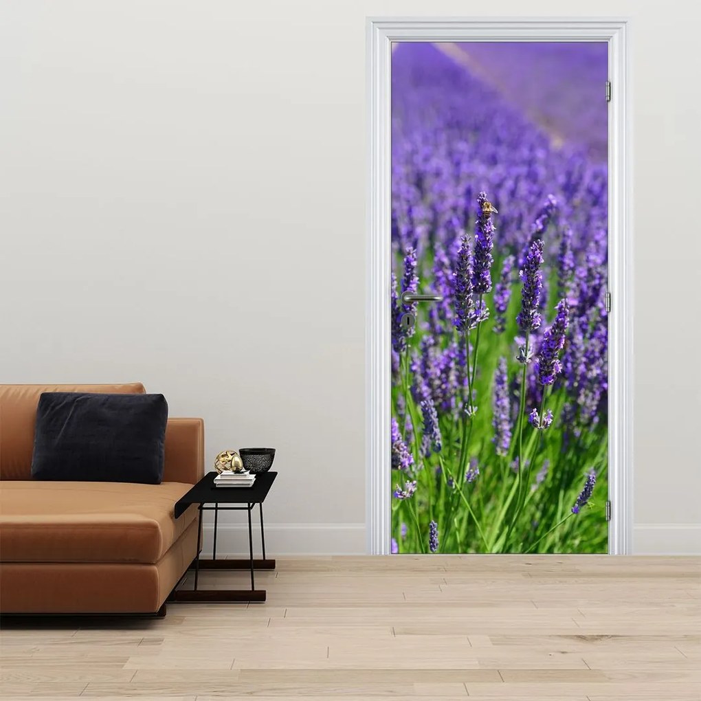 Fototapeta na drzwi - Lawenda (95x205cm)