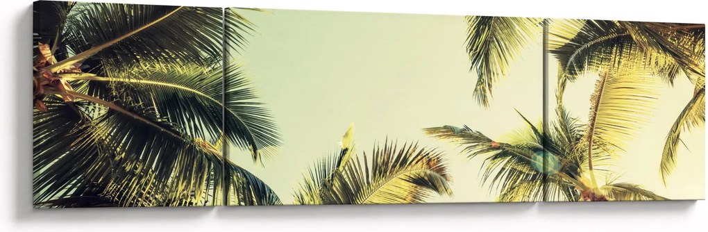 Obraz z palmami kokosowymi (170x50 cm)