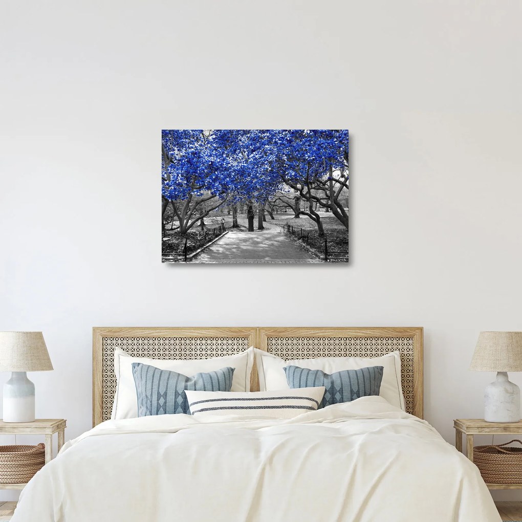Obraz na szkle - Niebieskie drzewa, Central Park, New York (70x50 cm)